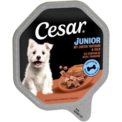 Cesar Junior w tackach, 14 x 150 g - Indyk i cielęcina Cesar Junior w tackach, 14 x 150 g - Indyk i cielęcina