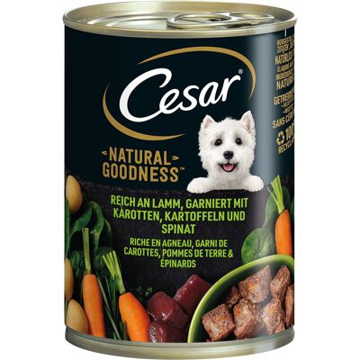 Cesar Natural Goodness Jagnięcina - Mokra karma dla psów Cesar Natural Goodness Jagnięcina - Mokra karma dla psów