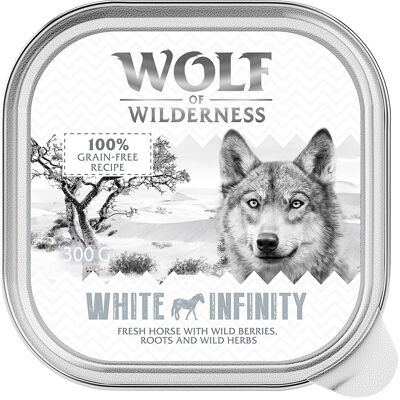 Wolf of Wilderness - Dorosły Pojedynczy Białko - 24x300 g - Karma dla psów Wolf of Wilderness - Dorosły Pojedynczy Białko - 24x300 g - Karma dla psów