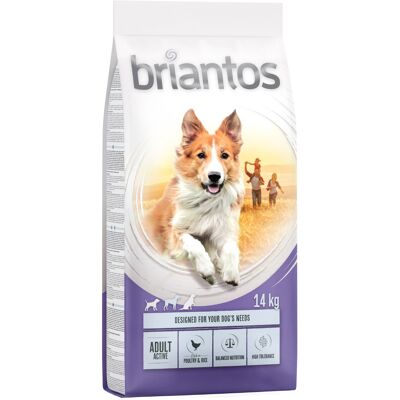 Briantos Adult Active - 14kg - Karma dla psa Briantos Adult Active - 14kg - Karma dla psa