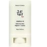 Beauty of Joseon Matte Sun Stick SPF50/PA++++ matujący krem w sztyfcie Mugwort + Camelia 18 g