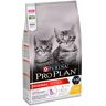 Purina Pro Plan Original Kitten Karma dla kociąt bogata w kurczaka 1.5 kg