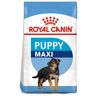 Royal Canin Maxi puppy - karma sucha dla szczęniąt, rasy duże 4 kg