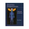 Virgo Anatomia energetyczna