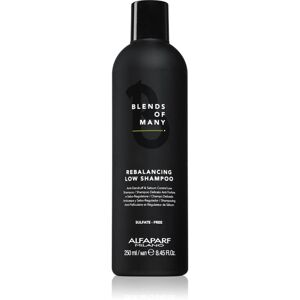 Alfaparf Milano Blends of Many Rebalancing Low Shampoo - Przeciwłupieżowy Alfaparf Milano Blends of Many Rebalancing Low Shampoo - Przeciwłupieżowy