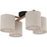 TK Lighting Lampa Do Montażu Sufitowego 4x15w Deva Nature 6866