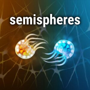 Plug In Digital Semispheres (EU)