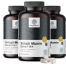 HealthyWorld 3x Shilajit Mumie Extract 10:1, razem 360 kapsułek