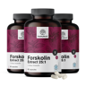 HealthyWorld 3x Forskolina – z ekstraktu z pokrzywy indyjskiej 20 mg, razem 180 kapsułek
