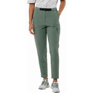 Damskie spodnie turystyczne Jack Wolfskin WANDERMOOD PANTS W hedge green - 42 female