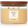 Świeca Wild Honey 433 g Nature's Wick by WoodWick