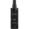 Spray zwiększający objętość włosów 200 ml WS Academy