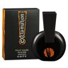 Exclamation Wild Musk EDT spray 100ml Exclamation