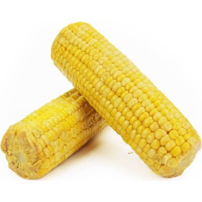 BIO PLANET KUKURYDZA GOTOWANA BIO (około 0,40 kg) BIO PLANET KUKURYDZA GOTOWANA BIO (około 0,40 kg)