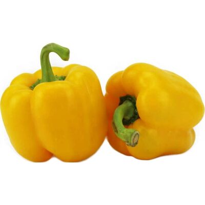 ŚWIEŻE (owoce, warzywa, grzyby) - ZBIORCZE OPAKOWANIE ZBIORCZE (kg) - PAPRYKA ŻÓŁTA ŚWIEŻA BIO (około 5 kg) ŚWIEŻE (owoce, warzywa, grzyby) - ZBIORCZE OPAKOWANIE ZBIORCZE (kg) - PAPRYKA ŻÓŁTA ŚWIEŻA BIO (około 5 kg)