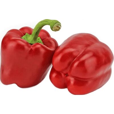 BIO PLANET Czerwone Papryki - 5 kg Świeże Ekologiczne Papryki BIO PLANET Czerwone Papryki - 5 kg Świeże Ekologiczne Papryki