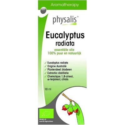 OLEJEK ETERYCZNY EUCALYPTUS RADIATA (EUKALIPTUS AUSTRALIJSKI) BIO 10 ml - PHYSALIS OLEJEK ETERYCZNY EUCALYPTUS RADIATA (EUKALIPTUS AUSTRALIJSKI) BIO 10 ml - PHYSALIS