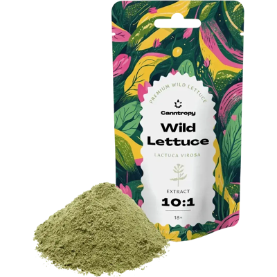 Canntropy Ekstrakt Z Sałaty Dzikiej (Lactuca Virosa) 10:1, 5 G - 100 G 10 Gramów Canntropy Ekstrakt Z Sałaty Dzikiej (Lactuca Virosa) 10:1, 5 G - 100 G 10 Gramów