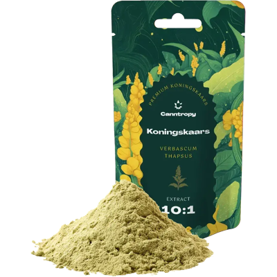 Canntropy Ekstrakt Koningskaars (Verbascum Thapsus) 10:1, 5 G - 100 G 10 Gramów Canntropy Ekstrakt Koningskaars (Verbascum Thapsus) 10:1, 5 G - 100 G 10 Gramów