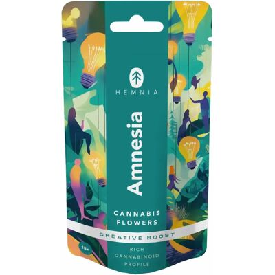 Hemnia Kwiaty , Amnesia - Kreatywne Wzmocnienie, 1 G - 5 G 5 Gramów Hemnia Kwiaty , Amnesia - Kreatywne Wzmocnienie, 1 G - 5 G 5 Gramów
