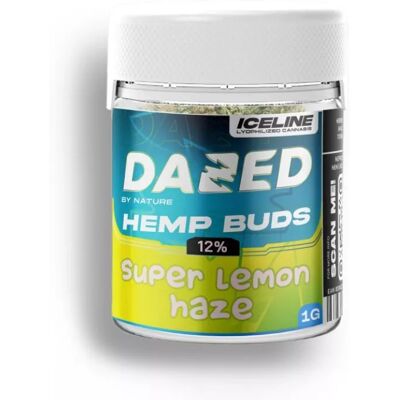 Czech Kwiat Konopi Dazed Super Lemon, 12% Esencji Dazed, 1 G - 1000 G 1 Gram Czech Kwiat Konopi Dazed Super Lemon, 12% Esencji Dazed, 1 G - 1000 G 1 Gram