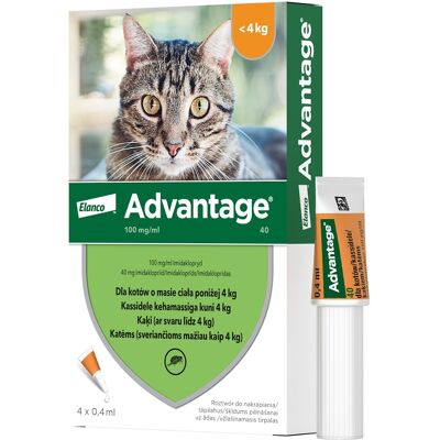 Bayer ADVANTAGE Roztwór do nakrapiania dla kotów do 4 kg (4 x 0,4 ml) Bayer ADVANTAGE Roztwór do nakrapiania dla kotów do 4 kg (4 x 0,4 ml)