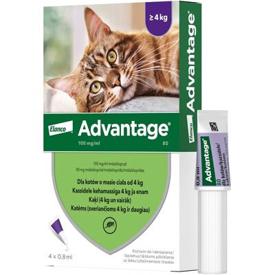 Elanco ADVANTAGE Imidacloprid 80 dla kotów - Leczenie spot-on na pchły Elanco ADVANTAGE Imidacloprid 80 dla kotów - Leczenie spot-on na pchły