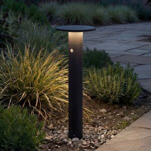 Arcchio słupek oświetleniowy LED Tovio, wysokość 81 cm, czujnik, antracyt Tovio, aluminiowy / szary / cynkowy, aluminium, nowoczesny Arcchio słupek oświetleniowy LED Tovio, wysokość 81 cm, czujnik, antracyt Tovio, aluminiowy / szary / cynkowy, aluminium, nowoczesny