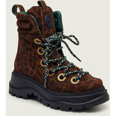 Kurt Geiger Botki na platformie KENSINGTON HIKER zamsz brązowy 37 Kurt Geiger Botki na platformie KENSINGTON HIKER zamsz brązowy 37