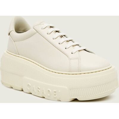 Casadei Skórzane sneakersy NEXUS beżowy 37 Casadei Skórzane sneakersy NEXUS beżowy 37