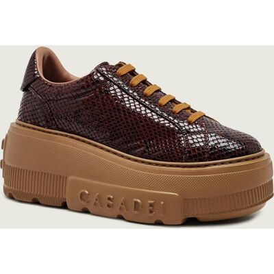 Casadei Skórzane sneakersy Nexus Basilisco brązowy 36 Casadei Skórzane sneakersy Nexus Basilisco brązowy 36