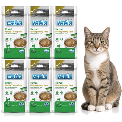 FARMINA Vet Life Cat Renal Creamy treat with Chicken & Tuna box – przysmak dla kota – 6x(4x15g) FARMINA Vet Life Cat Renal Creamy treat with Chicken & Tuna box – przysmak dla kota – 6x(4x15g)