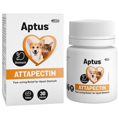 Aptus Attapectin Weterynarz Dodatki - Wspiera trawienie u psów i kotów Aptus Attapectin Weterynarz Dodatki - Wspiera trawienie u psów i kotów