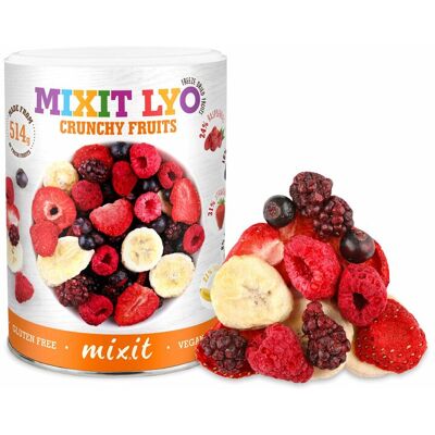 Mixit Małe Chrupiące owoce Mixit Małe Chrupiące owoce