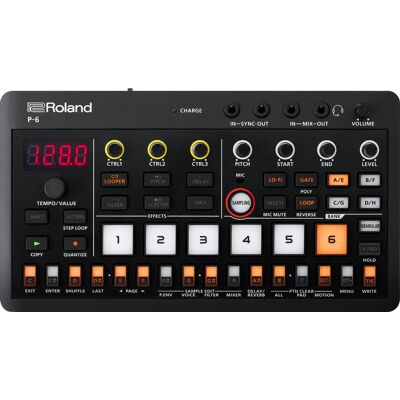 Roland P-6 Roland P-6