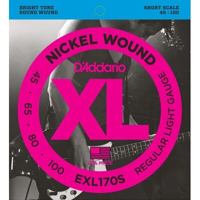 D'Addario EXL170S D'Addario EXL170S