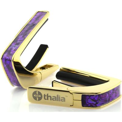 Thalia Shell Collection Purple Paua Gold Thalia Shell Collection Purple Paua Gold