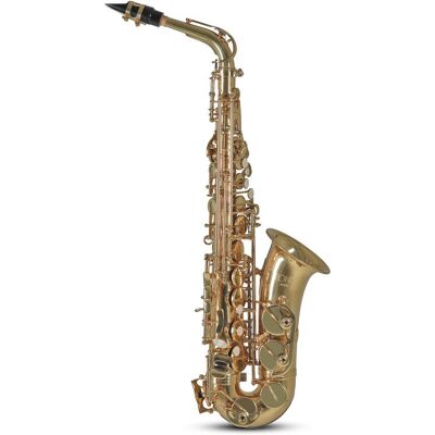 C.G.Conn AS501 C.G.Conn AS501
