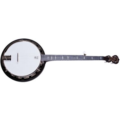 Deering Artisan Goodtime Special Banjo Deering Artisan Goodtime Special Banjo