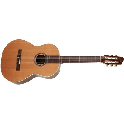 Godin Collection Godin Collection