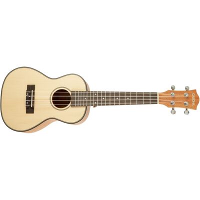 Cascha HH 2151 Concert Mahogany Ukulele Set Cascha HH 2151 Concert Mahogany Ukulele Set