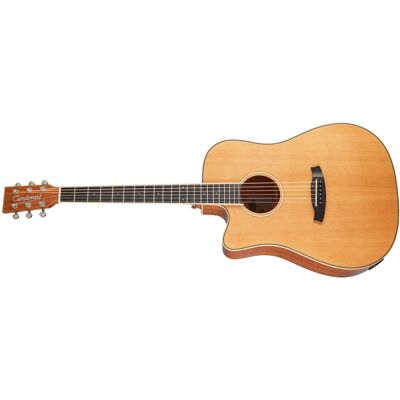 Tanglewood TW5CE NA LH Tanglewood TW5CE NA LH