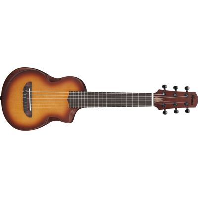 Ibanez AUP10N Light Brown Sunburst Ibanez AUP10N Light Brown Sunburst
