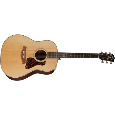 Taylor Gold Label 517e Taylor Gold Label 517e
