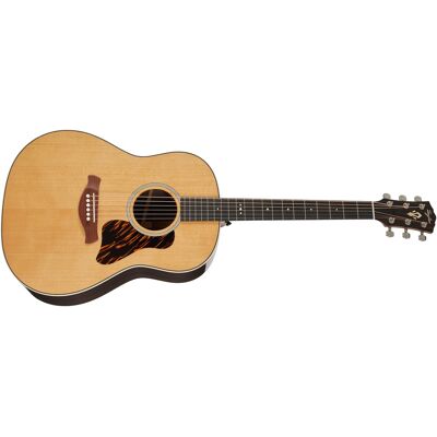 Taylor Gold Label 717e Taylor Gold Label 717e