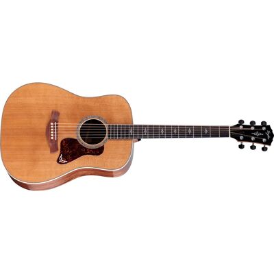 Taylor Gold Label 810e Honduran Rosewood Taylor Gold Label 810e Honduran Rosewood