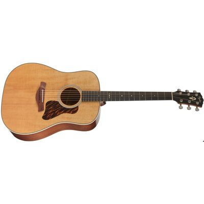 Taylor Gold Label 510e Taylor Gold Label 510e