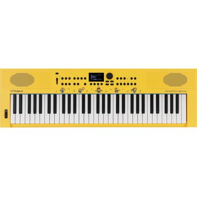 Roland GO:KEYS 3 Minion Roland GO:KEYS 3 Minion