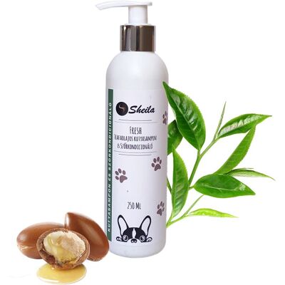 Szampon i odżywka Sheila Fresh Tree Oil dla psów - Szampon i odżywka dla psów Szampon i odżywka Sheila Fresh Tree Oil dla psów - Szampon i odżywka dla psów