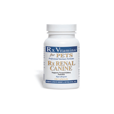 Rx Vitamins Renal Canine tabletka 120 szt Rx Vitamins Renal Canine tabletka 120 szt